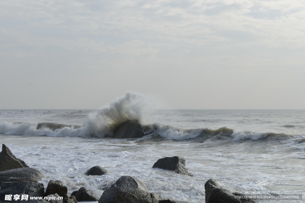 大海