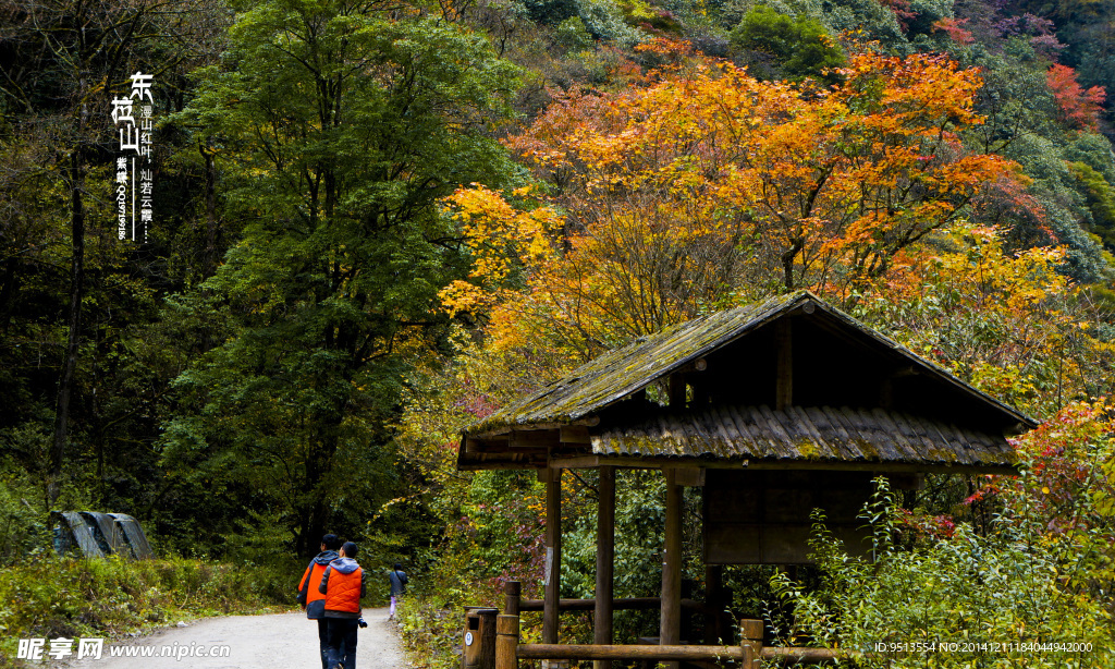 东拉山漫山红叶