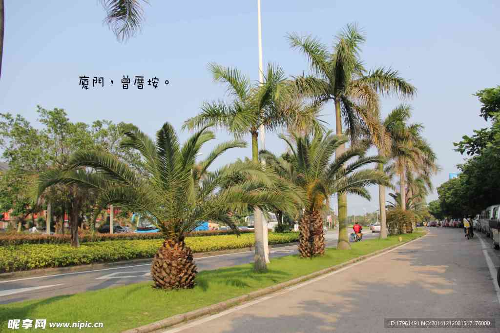 厦门游记