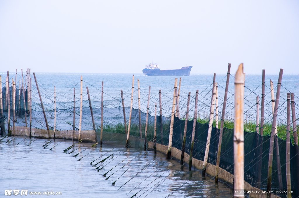 海上养殖