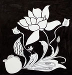 黑白莲花