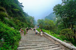泰山风光