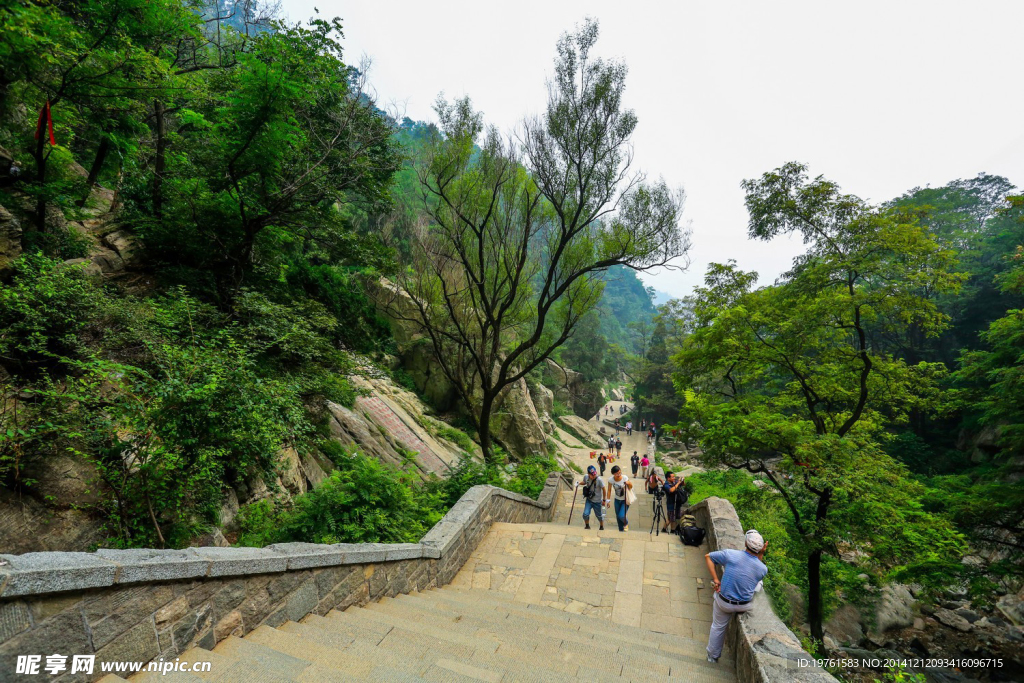 泰山风光