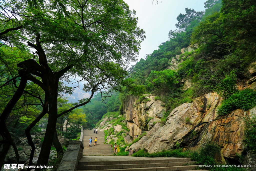 泰山风光