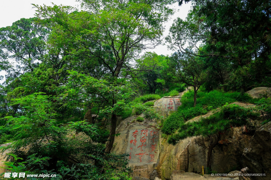 泰山风光