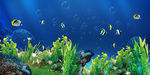 鱼缸背景 海底世界 小鱼 海藻
