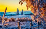 冰晶雪景