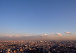 城市风景