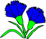 野花