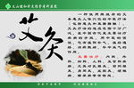 艾灸