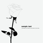 卷曲花纹底纹