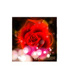 卷曲花纹底纹
