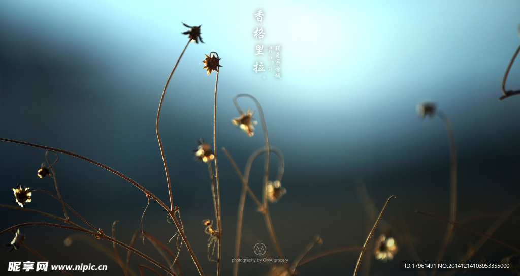 香格里拉