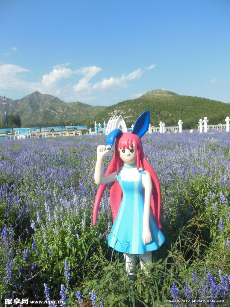 薰衣草庄园