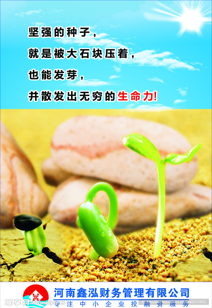 河南鑫泓财务有限公司