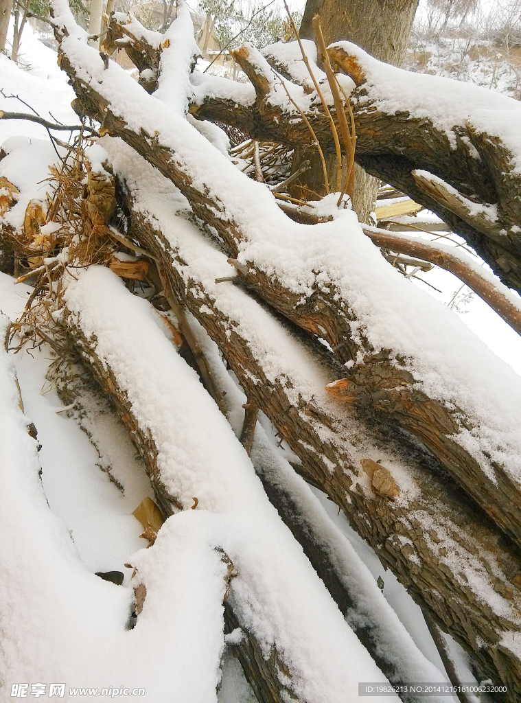 雪 木头 积压