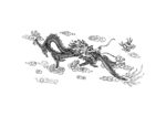 龙纹