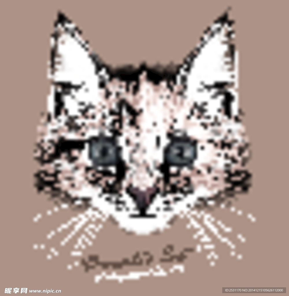 宠物猫
