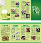 铁皮石斛说明书