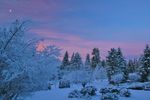 雪景