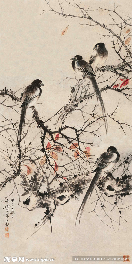 花鸟