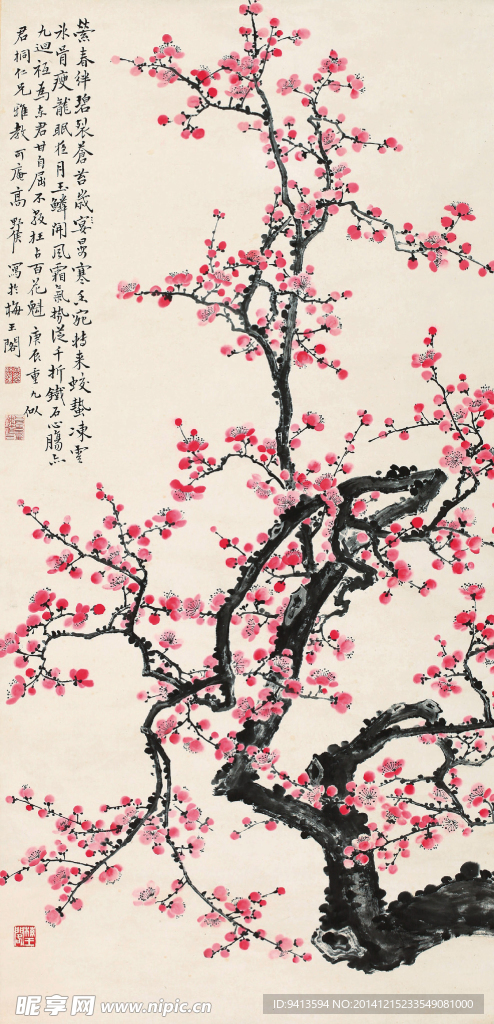 红梅