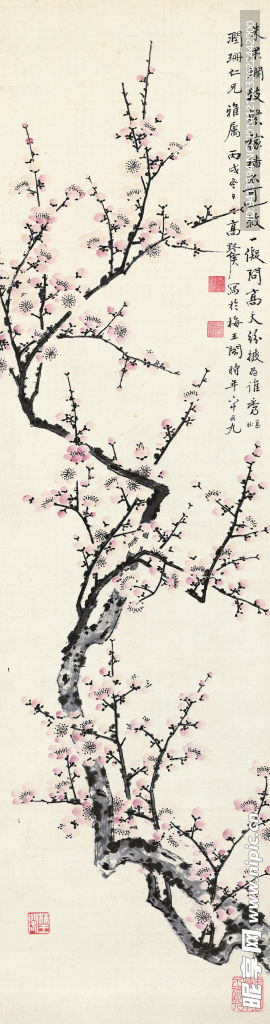 红梅