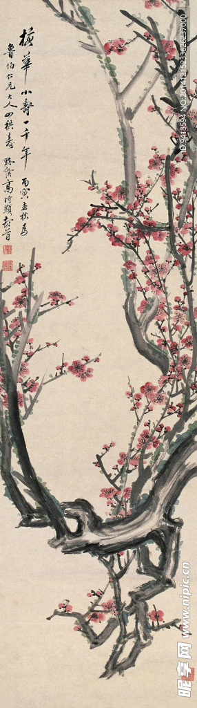 红梅