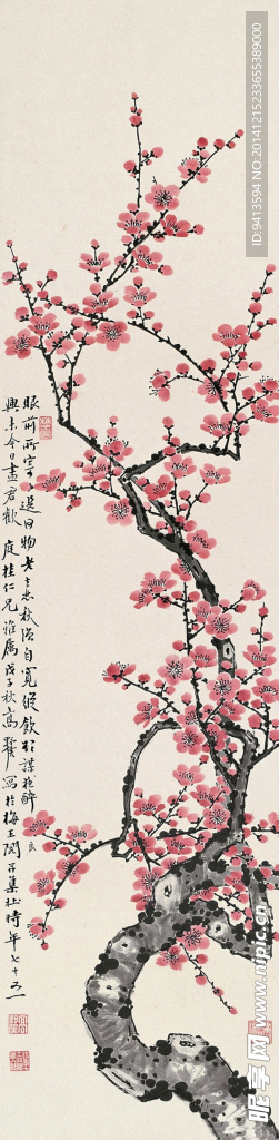 红梅