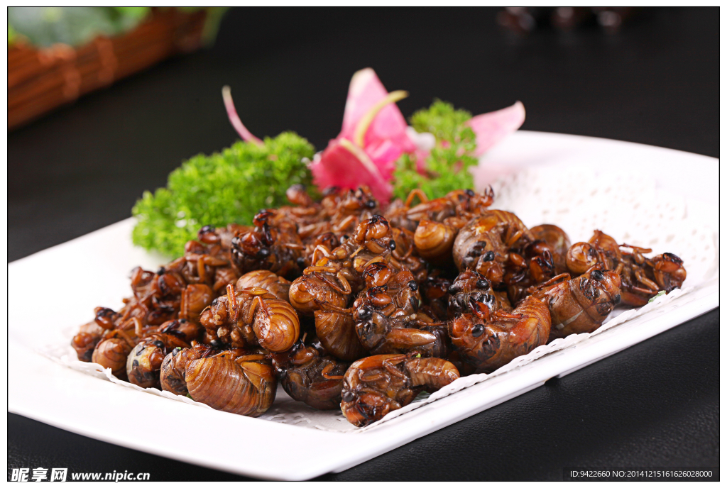香煎金蝉