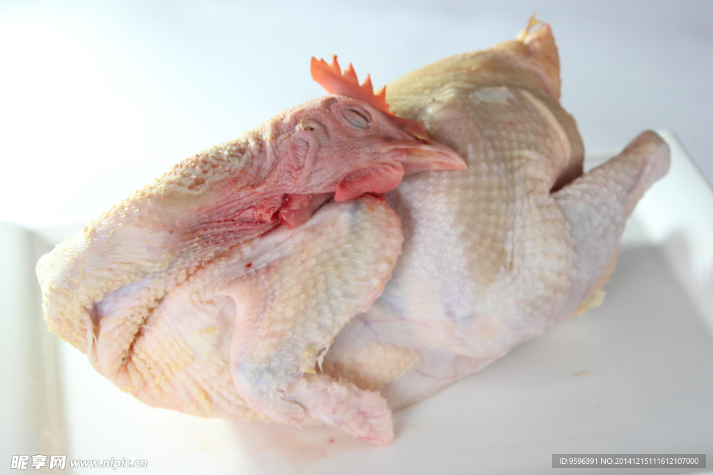 鸡肉
