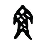 汉字的字形 鱼字的演变