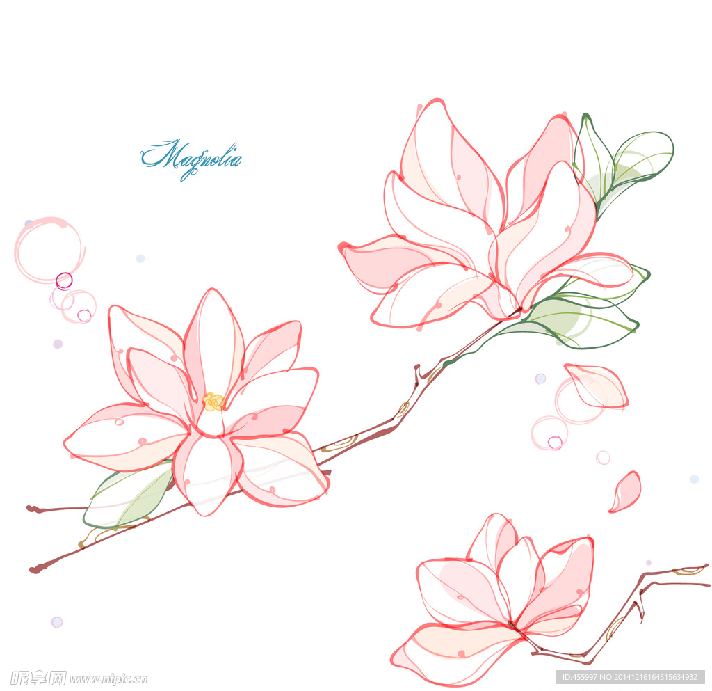 手绘矢量木兰花线条花朵