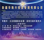 华隆兴投资单透海报
