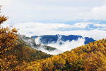 云山雾罩