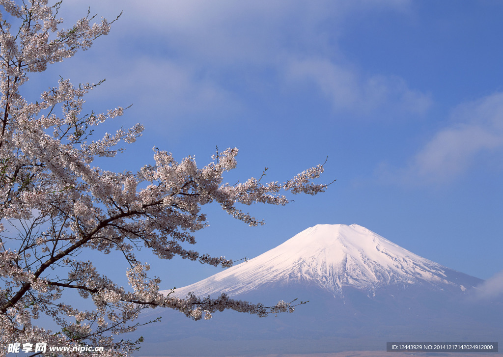 富士山