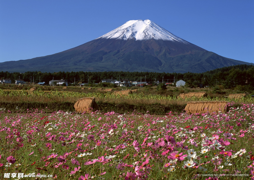 富士山