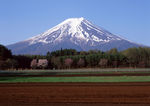 富士山