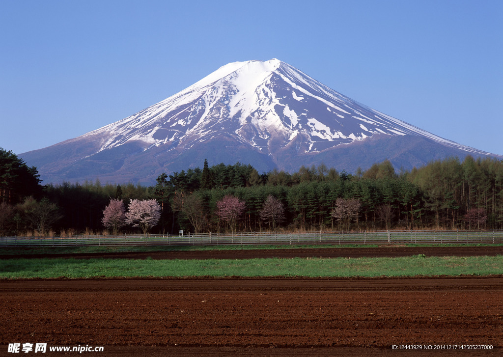 富士山