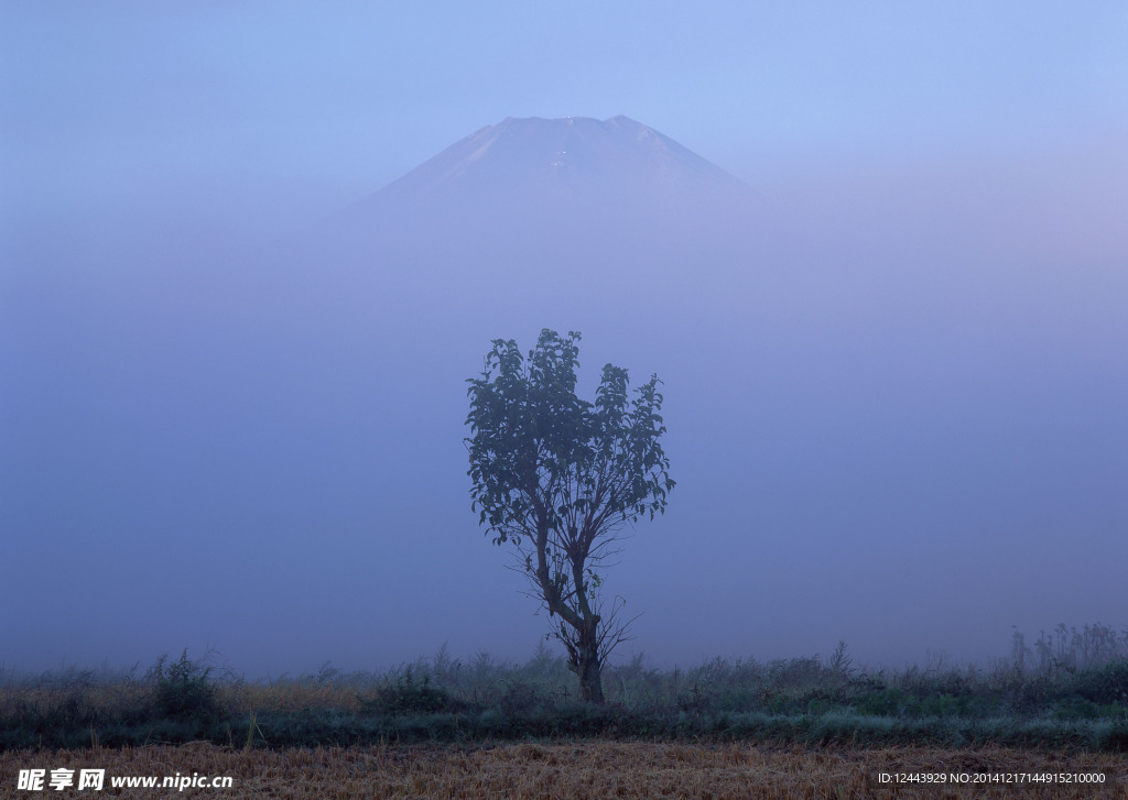 富士山