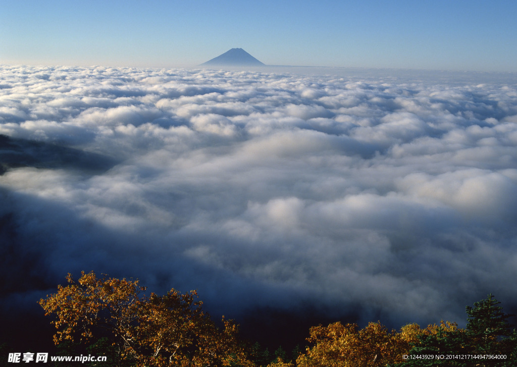 富士山