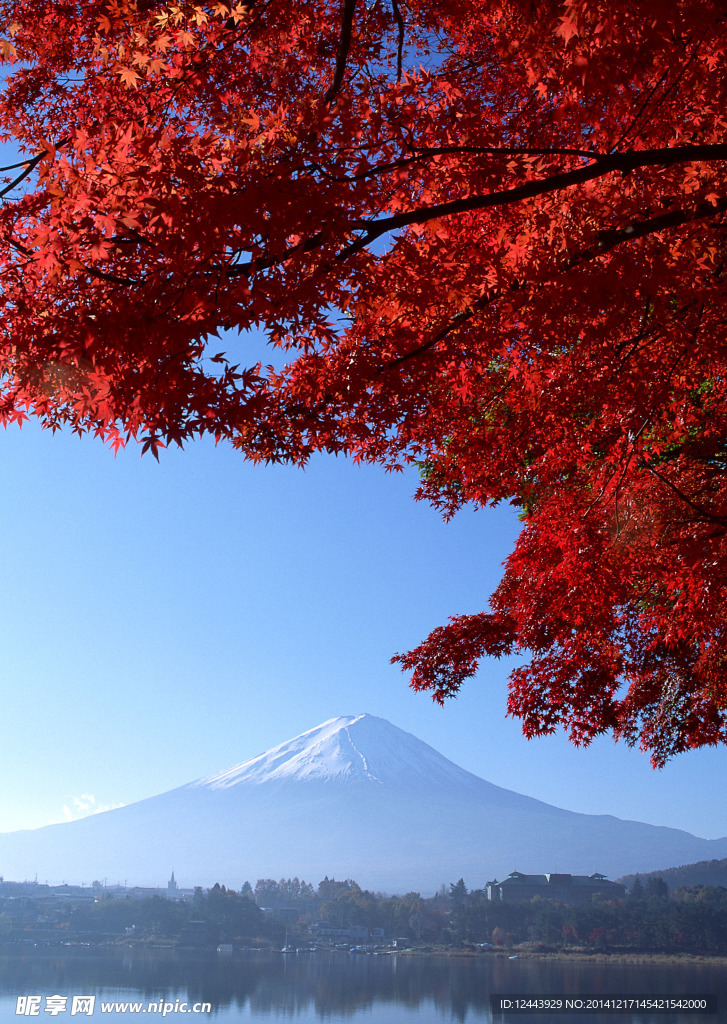 富士山