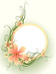 圆圈花纹