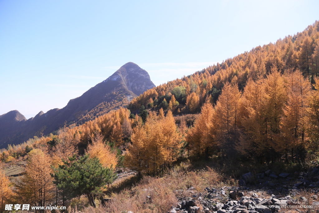 秋天山景