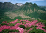 雄伟山峰