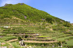山田