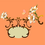 花朵 花纹 花