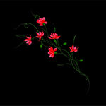 花朵 花纹 花