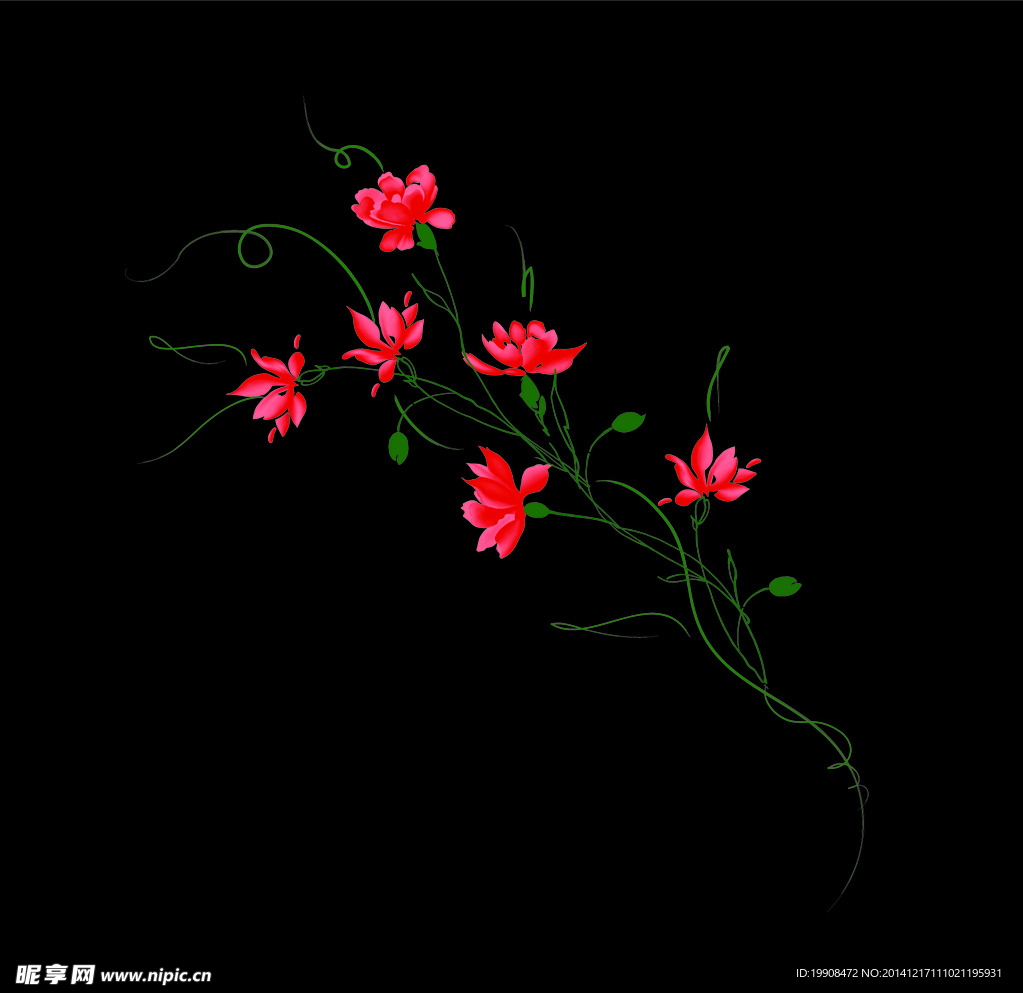 花朵 花纹 花