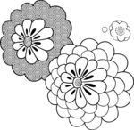 花 花朵 花纹